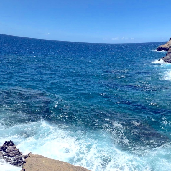 Meet your Posher, Holly - Picture 1 of 1